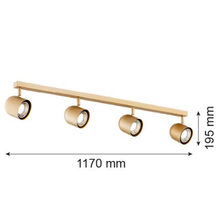 Argon 1810 - Bodové svítidlo ISOLA 4xGU10/5W/230V