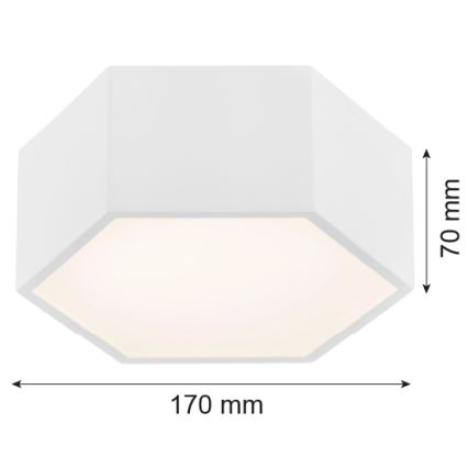 Argon 3828 - LED Stropní svítidlo ARIZONA LED/9W/230V bílá