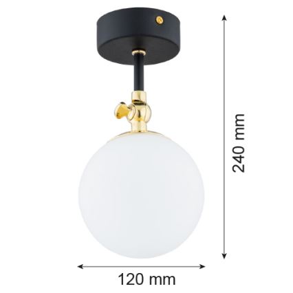 Argon 4003 - Koupelnový přisazený lustr LATINA 1xE14/7W/230V IP44 černá/mosaz
