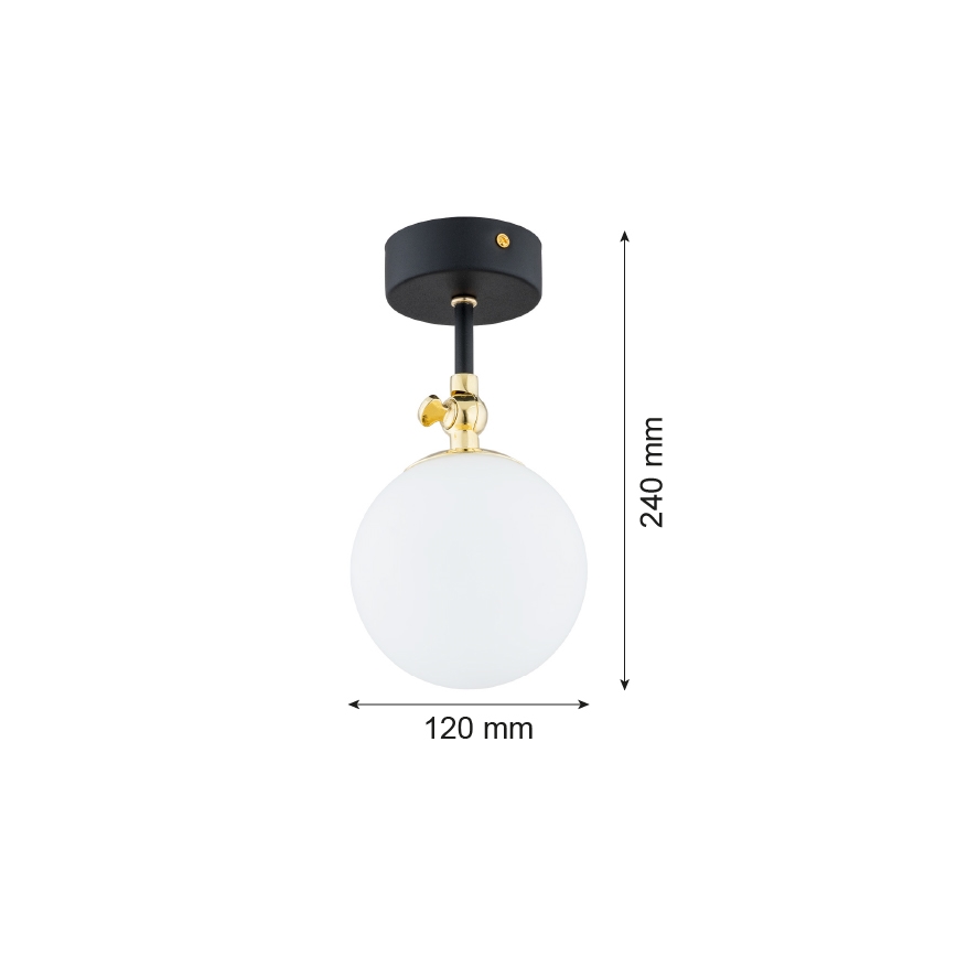 Argon 4003 - Koupelnový přisazený lustr LATINA 1xE14/7W/230V IP44 černá/mosaz