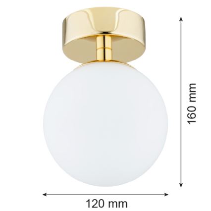 Argon 4004 - Koupelnové stropní svítidlo FLAVIO 1xE14/7W/230V IP44
