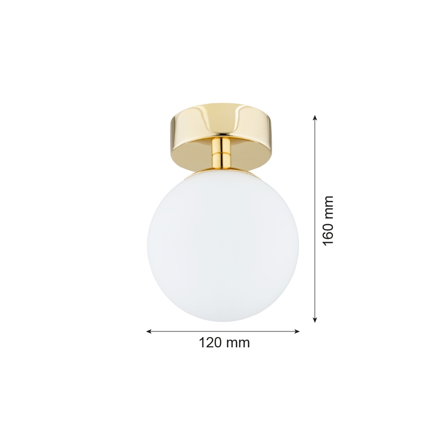 Argon 4004 - Koupelnové stropní svítidlo FLAVIO 1xE14/7W/230V IP44