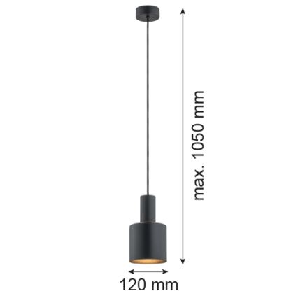 Argon 4219 - Lustr na lanku SINES 1xE27/15W/230V pr. 12 cm černá