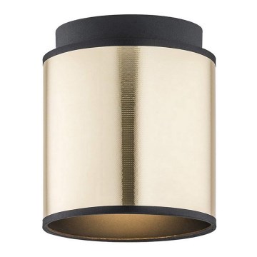 Argon 4247 - Stropní svítidlo HERMAN 1xE27/15W/230V mosaz/černá
