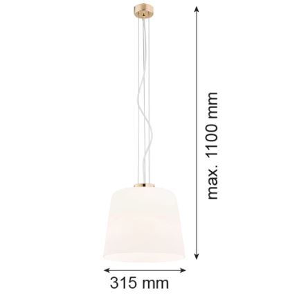 Argon 4689 - Lustr na lanku BERKLEY 1xE27/15W/230V