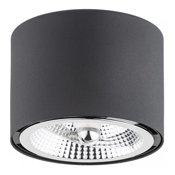 Argon 4691 - Stropní svítidlo CLEVLAND 1xGU10-AR111/12W/230V černá