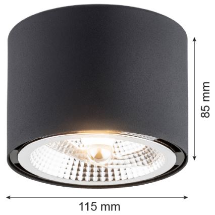 Argon 4691 - Stropní svítidlo CLEVLAND 1xGU10-AR111/12W/230V černá