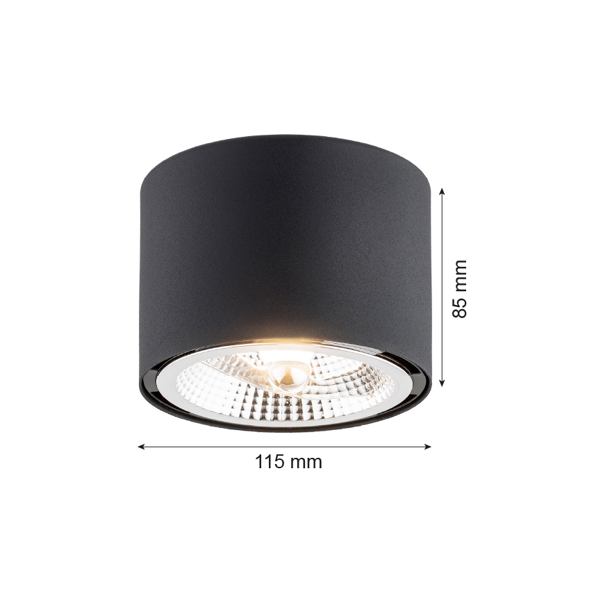 Argon 4691 - Stropní svítidlo CLEVLAND 1xGU10-AR111/12W/230V černá