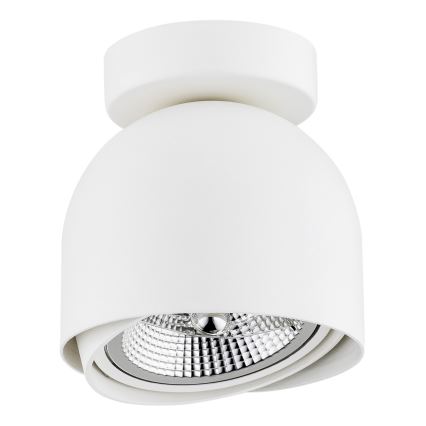 Argon 4710 - Bodové svítidlo GARLAND 1xGU10-AR111/12W/230V bílá