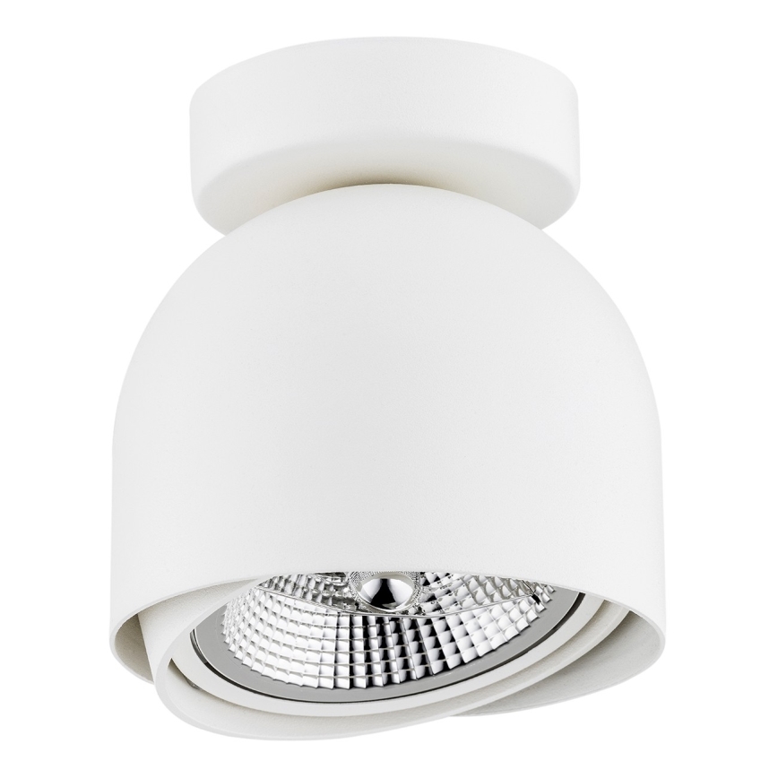 Argon 4710 - Bodové svítidlo GARLAND 1xGU10-AR111/12W/230V bílá