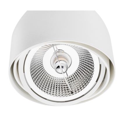 Argon 4710 - Bodové svítidlo GARLAND 1xGU10-AR111/12W/230V bílá