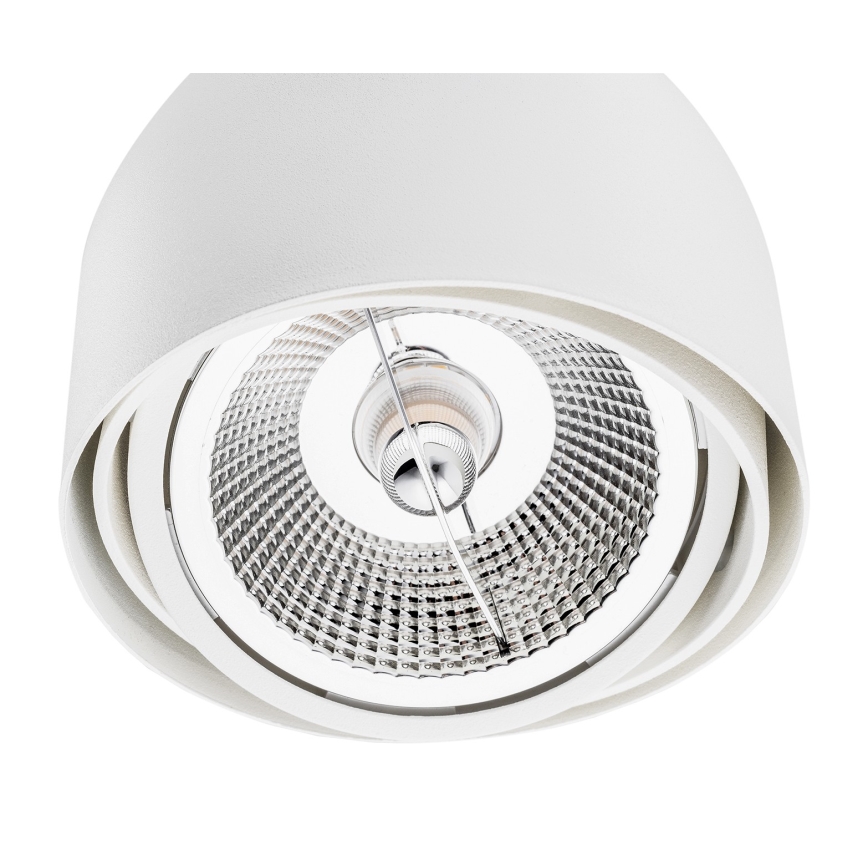 Argon 4710 - Bodové svítidlo GARLAND 1xGU10-AR111/12W/230V bílá