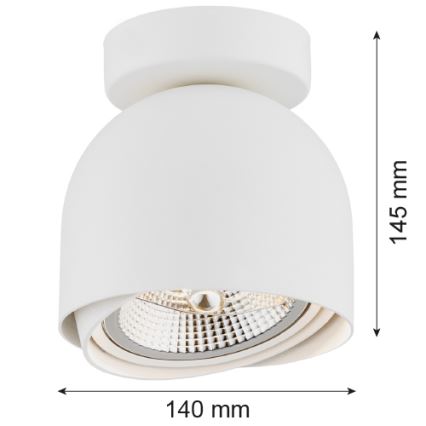 Argon 4710 - Bodové svítidlo GARLAND 1xGU10-AR111/12W/230V bílá