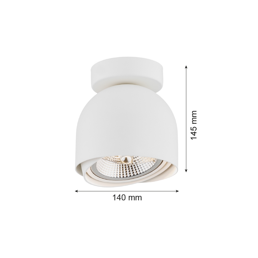 Argon 4710 - Bodové svítidlo GARLAND 1xGU10-AR111/12W/230V bílá
