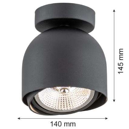 Argon 4711 - Bodové svítidlo GARLAND 1xGU10-AR111/12W/230V černá