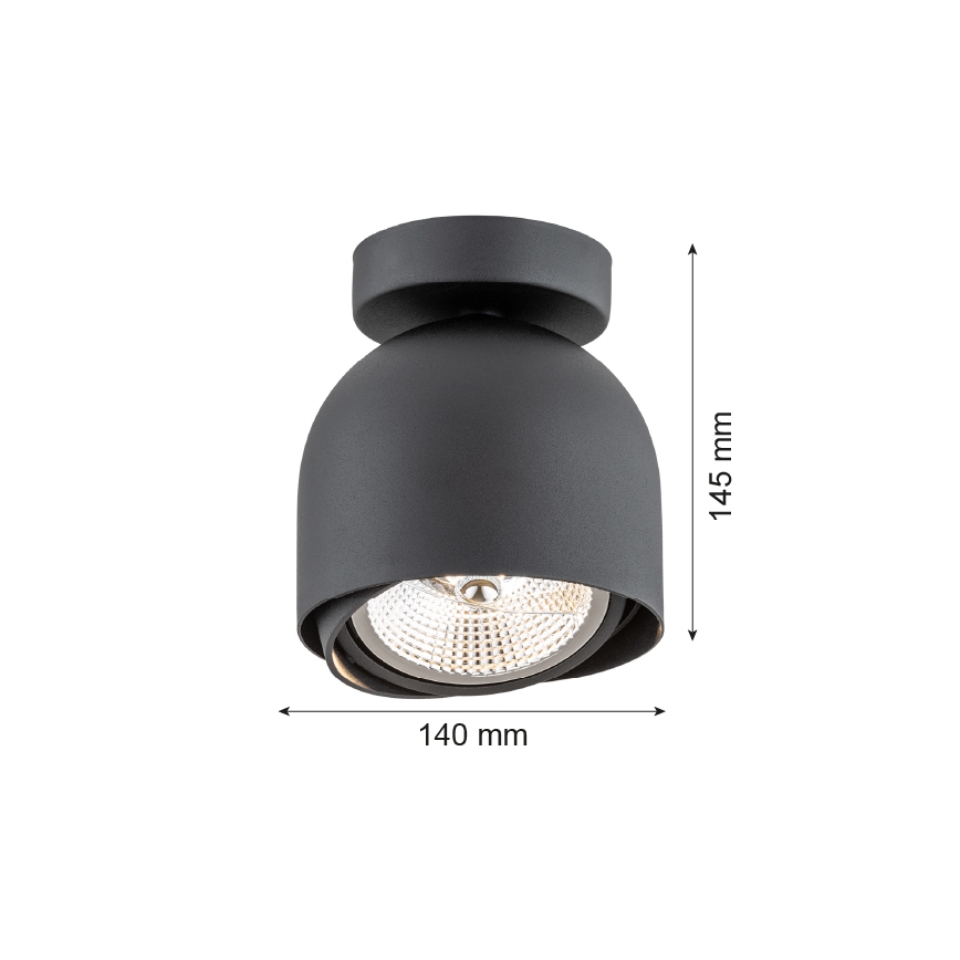 Argon 4711 - Bodové svítidlo GARLAND 1xGU10-AR111/12W/230V černá