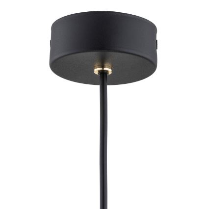 Argon 4752 - LED Lustr na lanku SICILIA LED/4,5W/230V