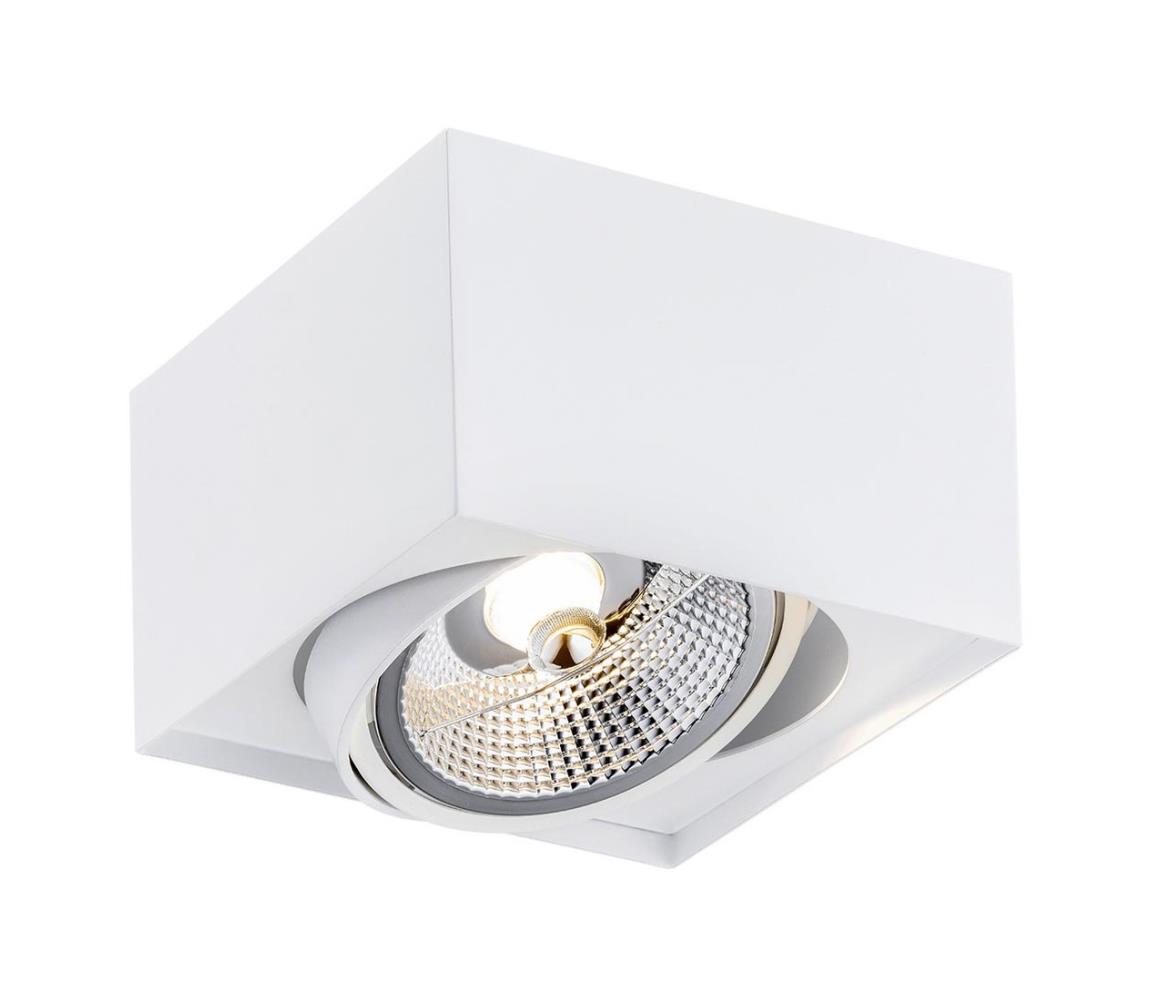 Argon Argon 4753 BZ - Bodové svítidlo RODOS 1xGU10-AR111/12W/230V bílá AR4753BZ