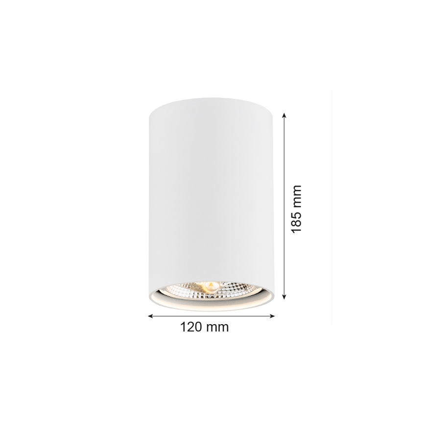 Argon 4910 - Bodové svítidlo TUBO AR111 1xGU10/15W/230V bílá