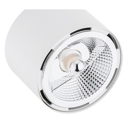 Argon 6100 - Bodové svítidlo CLEVLAND 3xGU10-AR111/12W/230V bílá