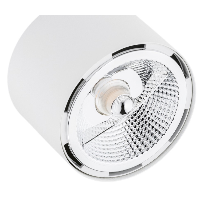 Argon 6100 - Bodové svítidlo CLEVLAND 3xGU10-AR111/12W/230V bílá