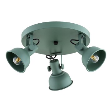 Argon 6265 - Bodové svítidlo LENORA 3xE14/7W/230V zelená