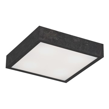 Argon 708 - Stropní svítidlo TEQUILA BIS 2xE27/60W/230V Argon 708 - Stropní svítidlo TEQUILA BIS 2xE27/60W/230V