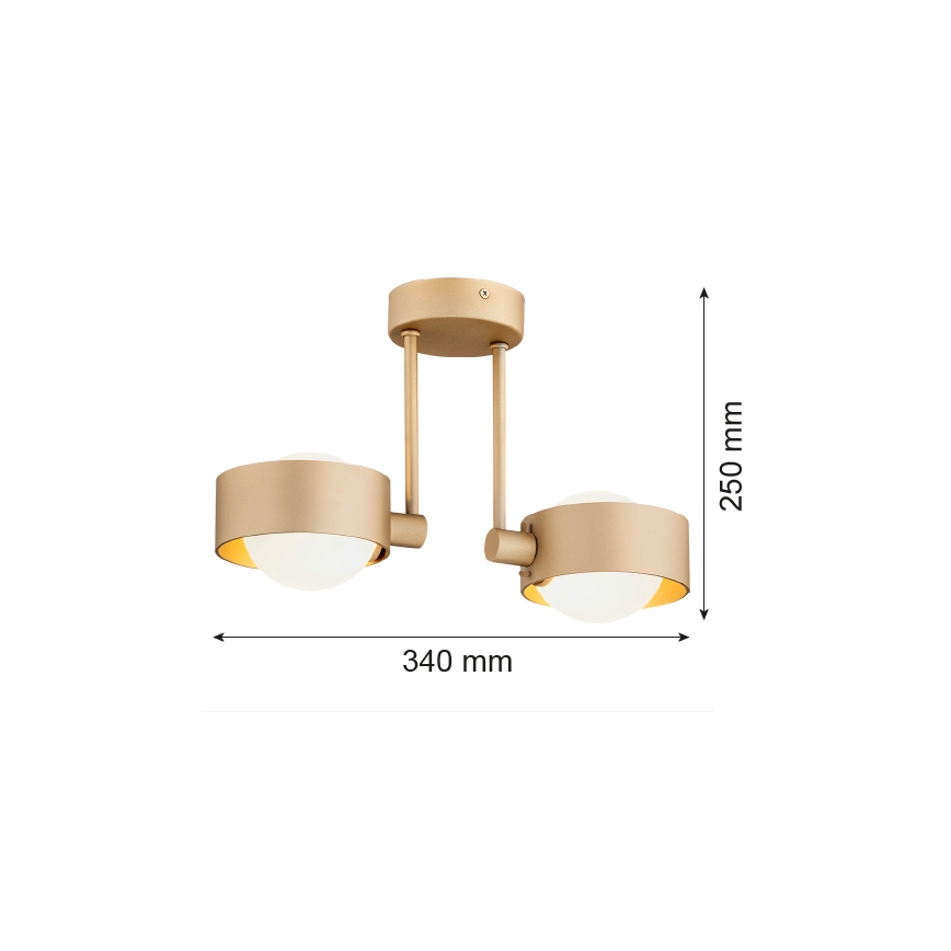 Argon 7215 - Koupelnový lustr na tyči MASSIMO PLUS 2xG9/6W/230V IP44 zlatá
