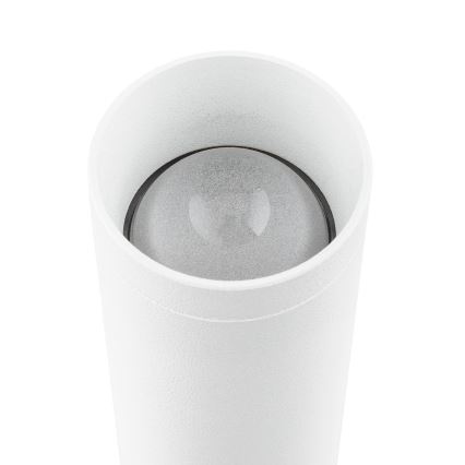 Argon 7223 - LED Nástěnné svítidlo GRECO 2xLED/4,2W/230V 3000K bílá