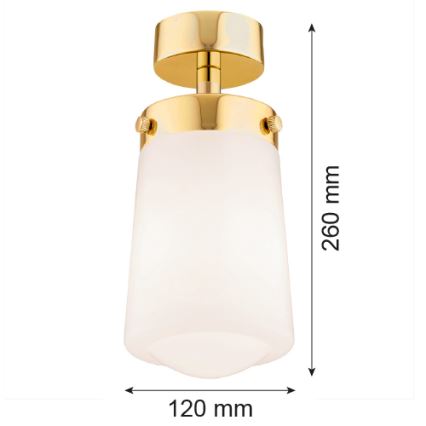 Argon 8005 - Přisazený lustr PASADENA 1xE27/15W/230V zlatá/bílá