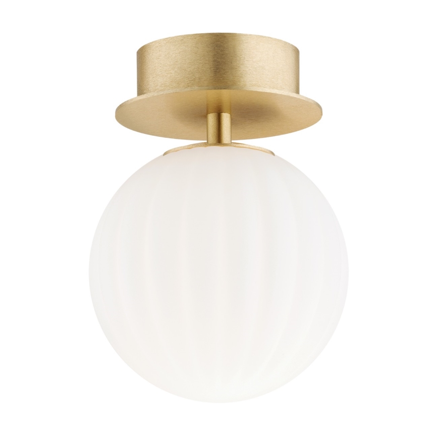 Argon 8504 - Nástěnné svítidlo PALOMA 1xE14/7W/230V zlatá/bílá