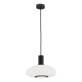 Argon 8565 - Lustr na lanku SAGUNTO PLUS 1xE27/15W/230V pr. 30 cm černá