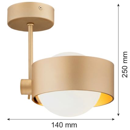 Argon 8568 - Koupelnový lustr na tyči MASSIMO PLUS 1xG9/6W/230V IP44 zlatá