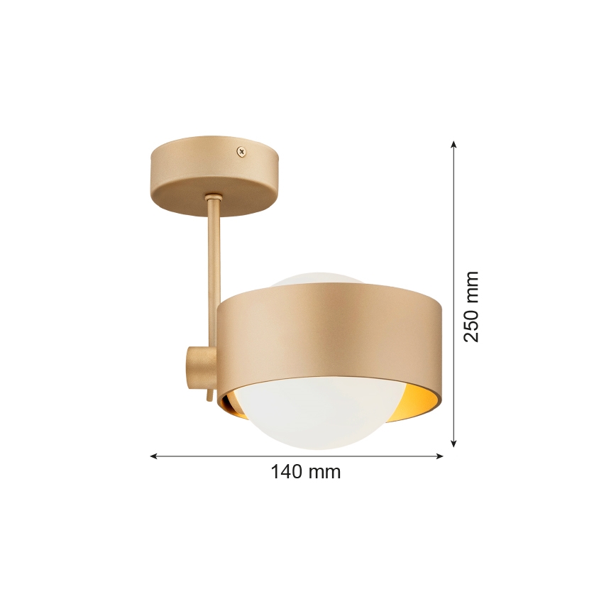 Argon 8568 - Koupelnový lustr na tyči MASSIMO PLUS 1xG9/6W/230V IP44 zlatá