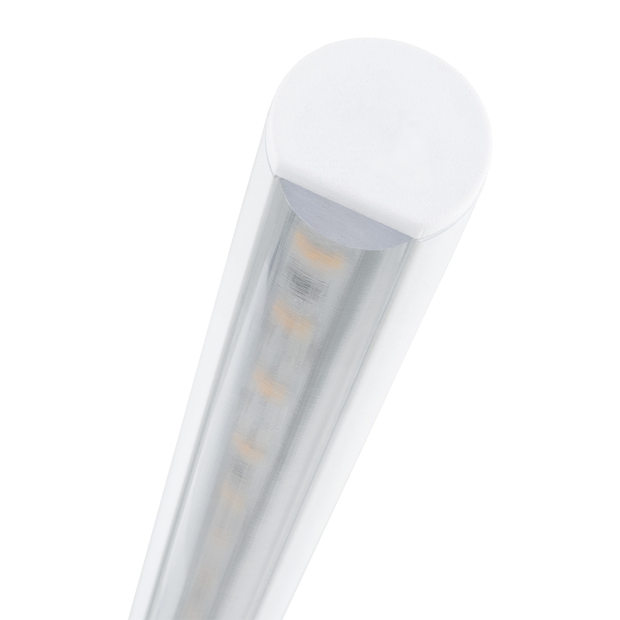 Argon 8598 - LED Obrazové svítidlo MIRIAM LED/10,8W/230V 3000K 60 cm bílá