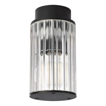 Argon 8773 - Venkovní stropní svítidlo NORFOLK 1xE27/15W/230V IP44 černá