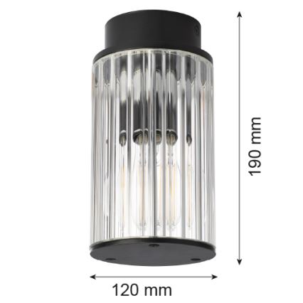 Argon 8773 - Venkovní stropní svítidlo NORFOLK 1xE27/15W/230V IP44 černá