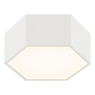 Argon 8781 - LED Stropní svítidlo LIBERO LED/12W/230V 3000K bílá