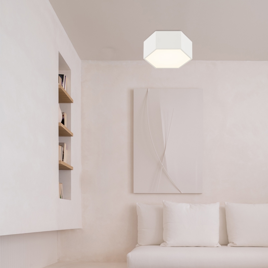 Argon 8781 - LED Stropní svítidlo LIBERO LED/12W/230V 3000K bílá