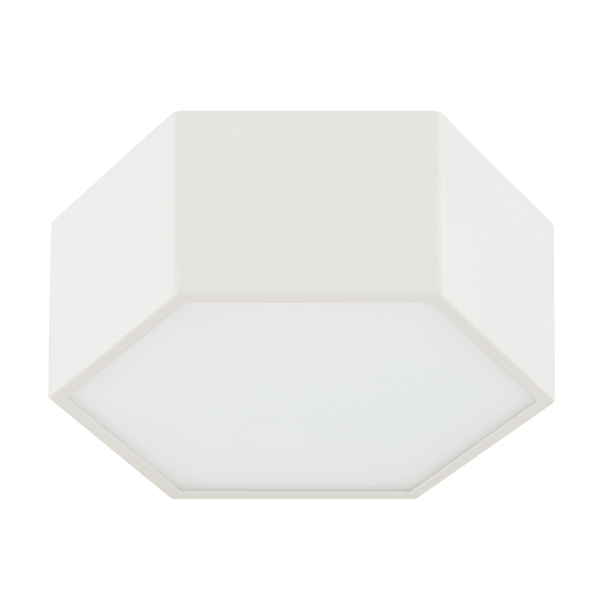 Argon 8781 - LED Stropní svítidlo LIBERO LED/12W/230V 3000K bílá