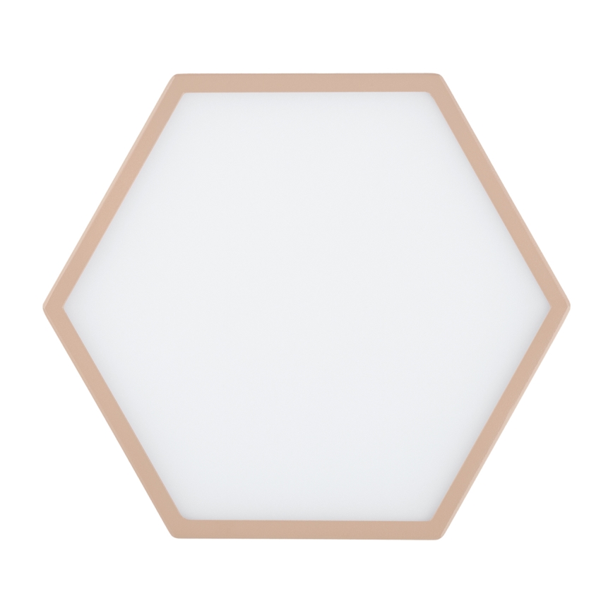 Argon 8782 - LED Stropní svítidlo LIBERO LED/12W/230V 3000K krémová