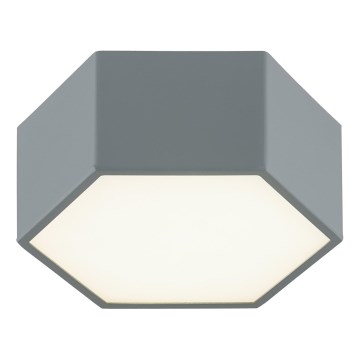 Argon 8784 - LED Stropní svítidlo LIBERO LED/12W/230V 3000K šedá
