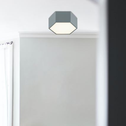 Argon 8784 - LED Stropní svítidlo LIBERO LED/12W/230V 3000K šedá