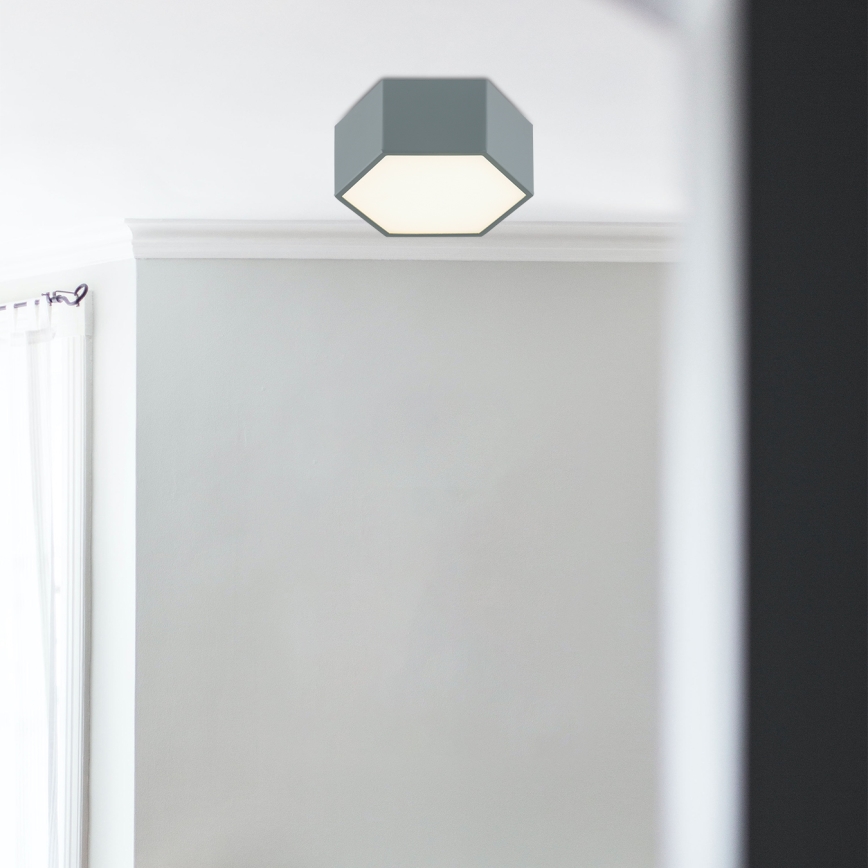 Argon 8784 - LED Stropní svítidlo LIBERO LED/12W/230V 3000K šedá