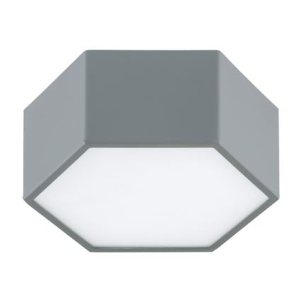 Argon 8784 - LED Stropní svítidlo LIBERO LED/12W/230V 3000K šedá