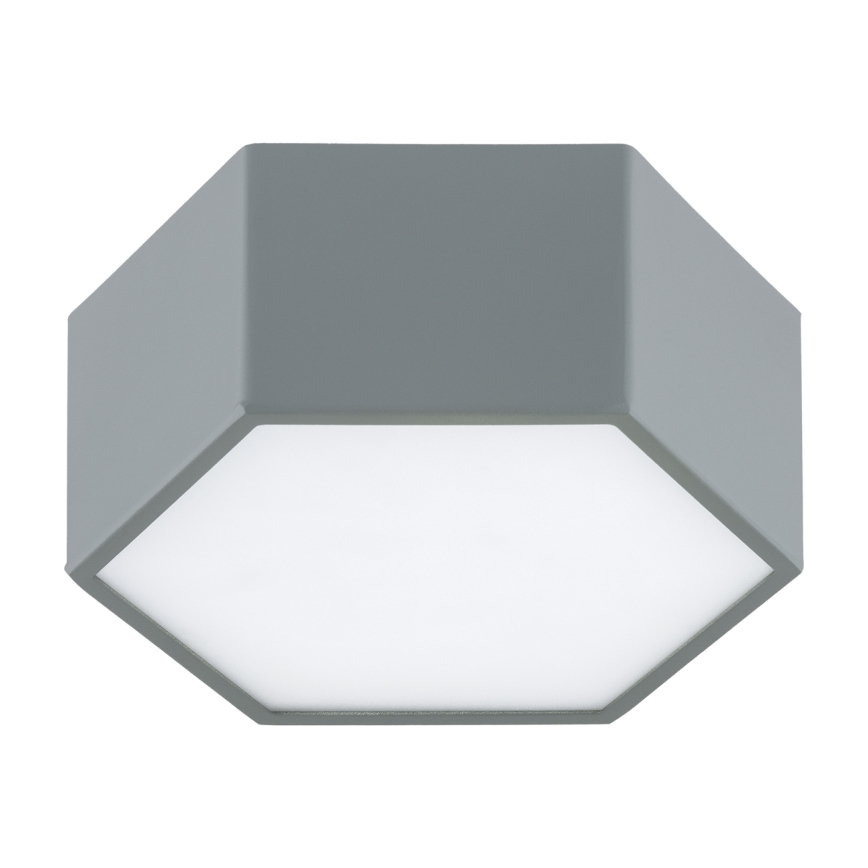 Argon 8784 - LED Stropní svítidlo LIBERO LED/12W/230V 3000K šedá