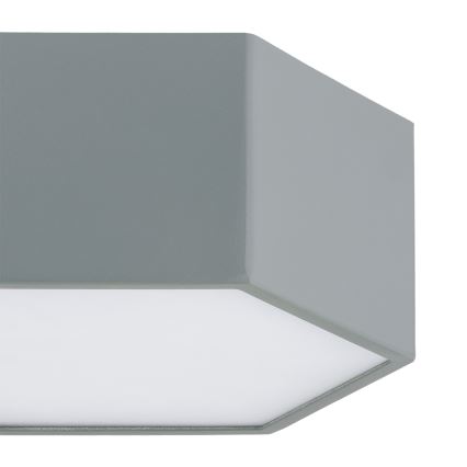 Argon 8784 - LED Stropní svítidlo LIBERO LED/12W/230V 3000K šedá