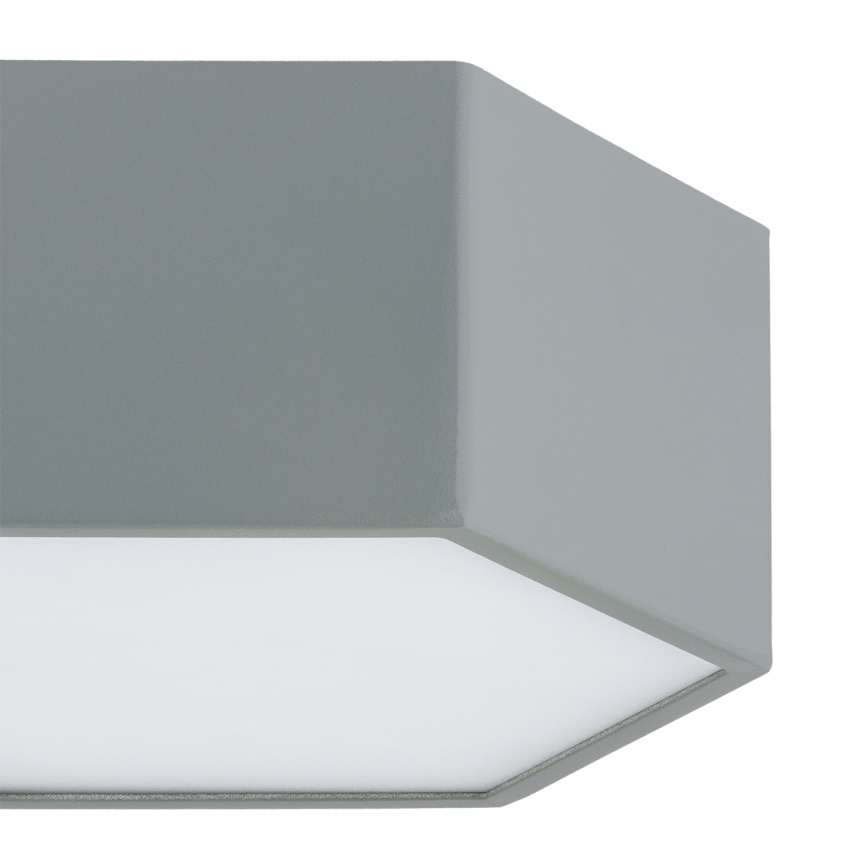 Argon 8784 - LED Stropní svítidlo LIBERO LED/12W/230V 3000K šedá