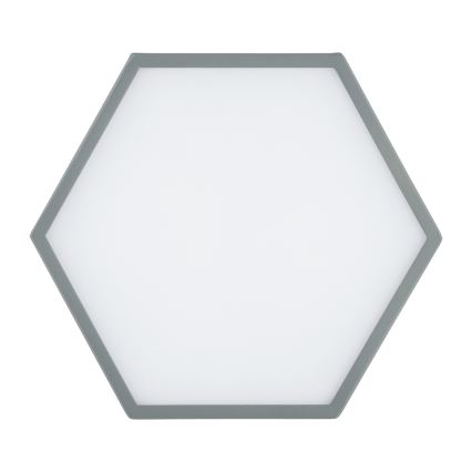Argon 8784 - LED Stropní svítidlo LIBERO LED/12W/230V 3000K šedá
