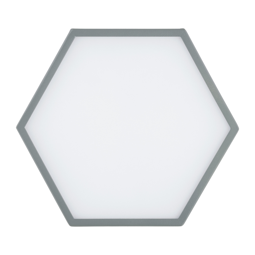 Argon 8784 - LED Stropní svítidlo LIBERO LED/12W/230V 3000K šedá